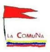 El estado comunal en Venezuela: